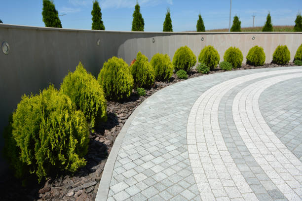 Best Best Driveway Pavers  in Hayfield, VA